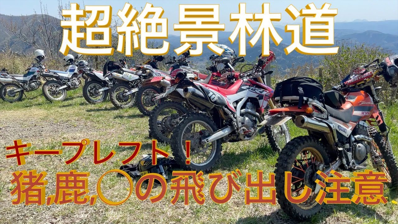 【初心者必見】鹿やら猪やら飛び出してきた！どうにか辿り着いた舘林道の頂上は絶景が待っていた！ハイスピード林道#crf250l ＃シェルパ、＃セロー、＃オフ車、＃XR