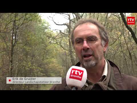 Ruim 1.400 Drentse vrijwilligers steken handen uit de mouwen op Natuurwerkdag - Ruim 1.400 Drentse vrijwilligers steken handen uit de mouwen op Natuurwerkdag