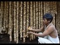 How Assam makes its Muga silk