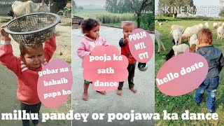 Milhu pandey pooja special videos!! Milhu pandey new funny video!! Tik tok star