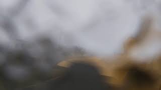 PLANE MOVE TIMELAPSE 20 SECONDS