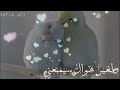 انا كلى فيك وكلك بى 