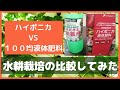 ハイポニカと１００均の液体肥料で水耕栽培の比較してみた