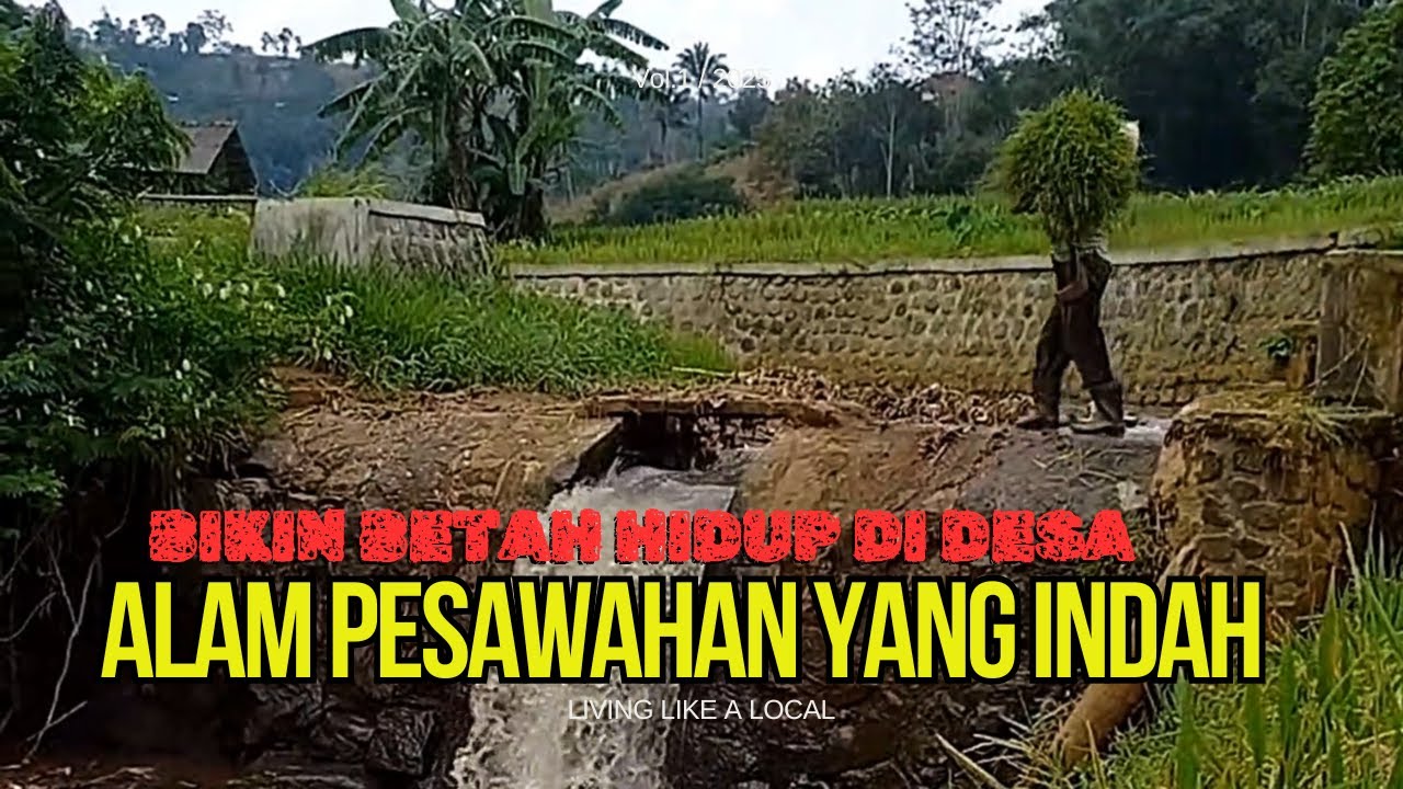 Yang melihat Alamnya Pasti ingin Pulang Kapung