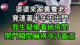 婆婆來家裏養老，竟連著半年不出門，我生疑偷看她房間，開門瞬間嚇得冷汗直流#深夜淺讀 #為人處世 #生活經驗 #情感故事