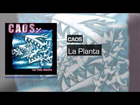 CAOS - La