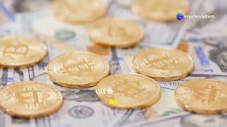 Bitcoin Digital Gold Rush
