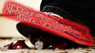 【ゆっくり解説】秘封が暴くSCP pt.37 【壊回】