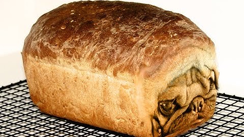 Morrowind Sucks without Mods