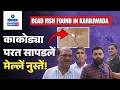 Cacora News - Dead Fish Found in Karaliwada Stream, Pollution Fears Grow | Gomantak TV