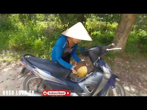 Going home from work, I visited the garden There was a jackfruit tree in the garden