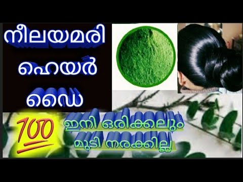 💯💯നീലയമരി ഹെയർ ഡൈ l Indigo Powder Hair Dye with Henna l Homemade