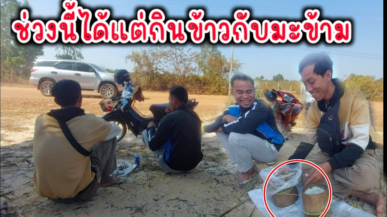 มาทานข้าวด้วยกันเดอ ข้าวกับมะข้ามสุก