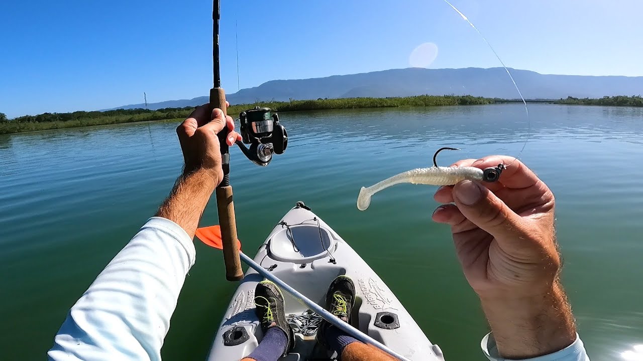 Brazilian Fishing Experience Exploring in Guaratuba Brazil 