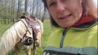 Tip - Tips Van Liesbeth Schievink