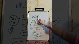 Syncytium: When One Cell Has Too Many Nuclei! 🧬🤯 #neet #biology #fyp