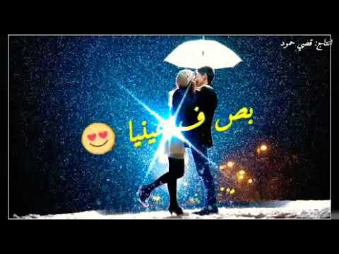 حالات واتس اب عرفت معنى الحب سامو زين