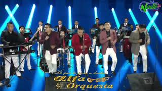 Alfa Orquesta - Concierto en Vivo Online