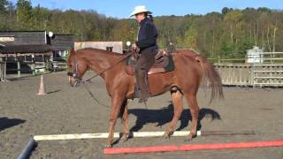 RANCH SAINT PRIX - STAGE WESTERN
