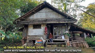 Chilling... The Story of Mak Hujaemah, Living Alone in the Forest for 40 Years, Haunted by Fear E...