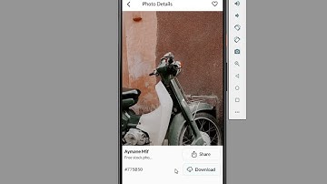 flutter wallpapers app pexels api