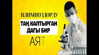 Жер астындагы суулар кантип пайда болот?