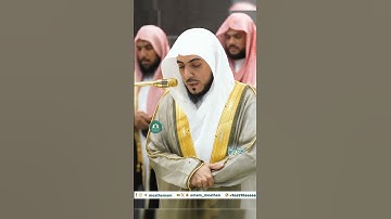 تلاوة خاشعة 🕊 سورة التين 🕊  #للشيخ .د #الوليد_الشمسان