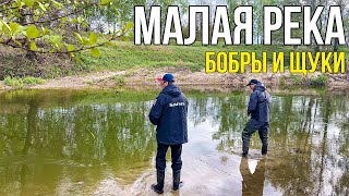 Долгожданная рыбалка для ДУШИ! Ловля щуки весной на МАЛОЙ РЕКЕ | Джиг на сильном течении