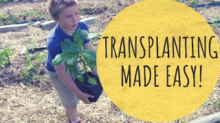 Transplanting Made Easy With EZ Swap Pots!