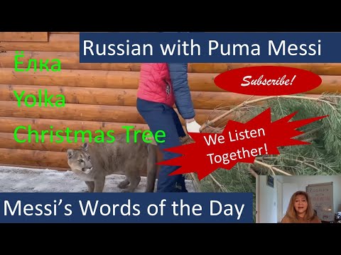 Messi's Word of the Day. Christmas Tree! Ёлка! We Meet Daddy with Our Christmas Tree!