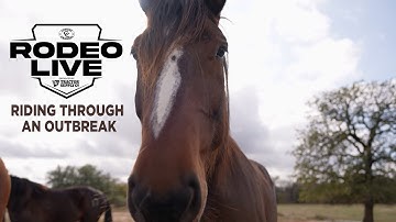 EHV 1: Riding Through an Outbreak Digital