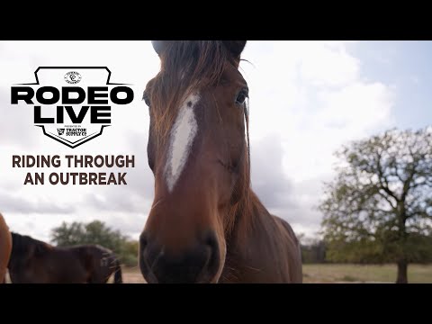 EHV 1: Riding Through an Outbreak Digital