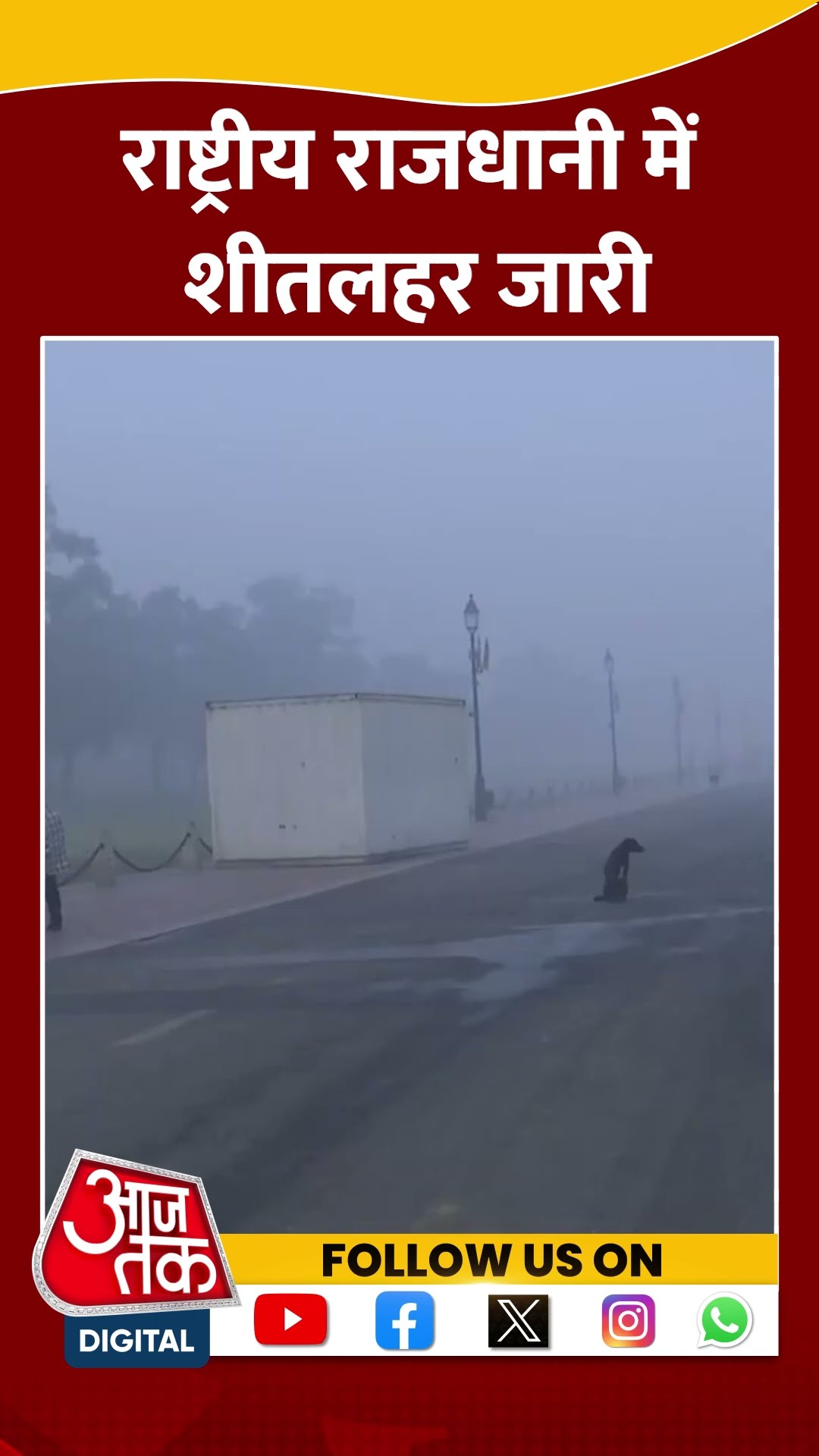 Delhi Cold Wave Updates: राष्ट्रीय राजधानी में शीतलहर जारी | #shorts #weather #delhicold