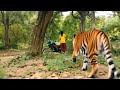 Tiger Attack On Village Girl in the forest l tiger Attack man in forest oyAy🙏🌳Bengal tiger 🐆🦁🍀🤩de...