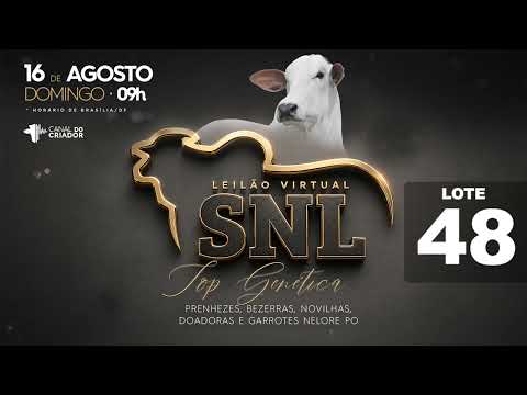 LOTE 48   SNL 2726 2690