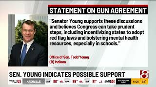 Indiana lawmakers react to Senate's tentative gun deal