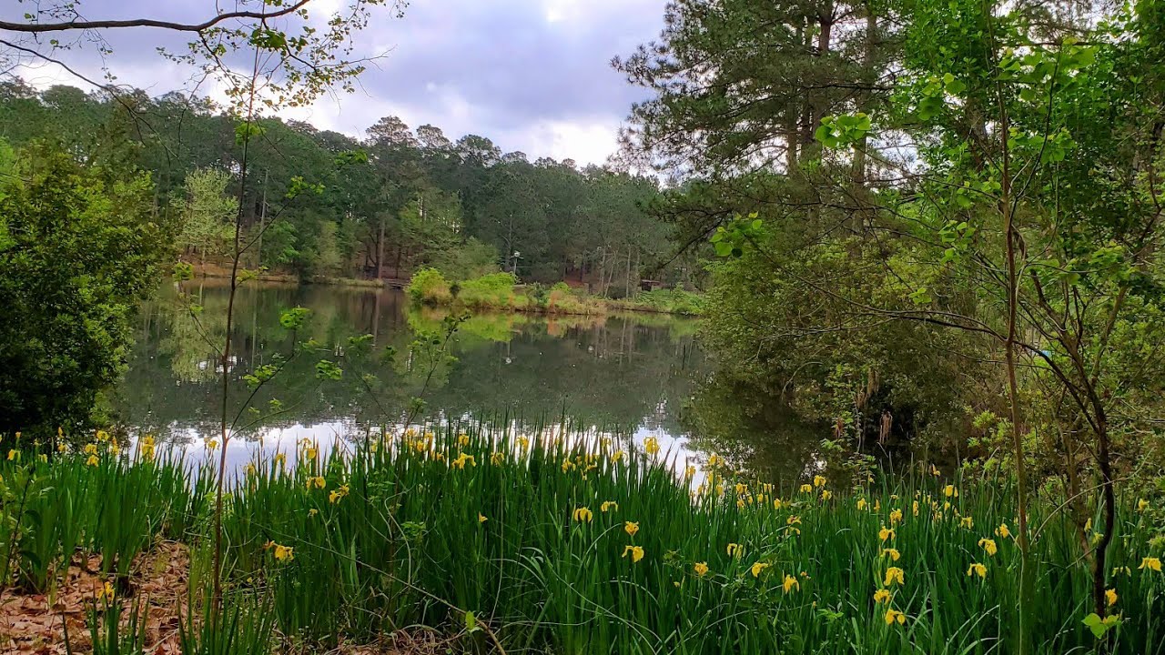 Aquarius - April 2020