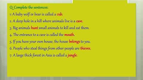 English Grade 4 Lesson 13