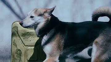 The Goldbricks - Source [Official video]