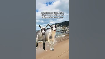 AI can now teach you languages 🤯 #langotalk #languagelearning