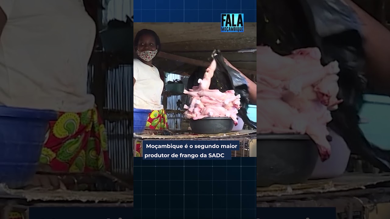 Produção de frango: Moçambique é o segundo maior produtor da SADC#frango @MiramarNews