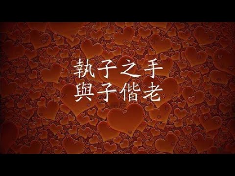 死生契闊，與子成說。執子之手，與子偕老。