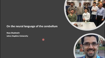 Journal Club, "On the neural language of the cerebellum", Reza Shadmehr, 22/03/30