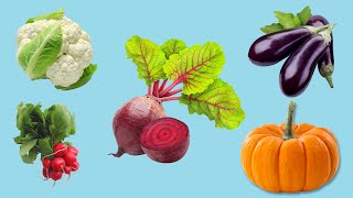 Vegetables (Quiz) pt.2