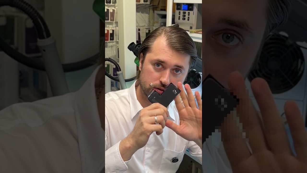 Обросшая собака проверяет аккумуляторы iPhone на вшивость за 10900₽ Поставщики вахуе.