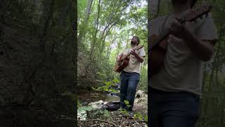 That Feeling Goes Away Live In A Forest