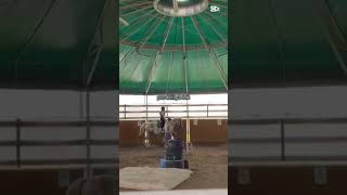 szczerze to za bardzo glow up'u nie widzę #horse #horse
