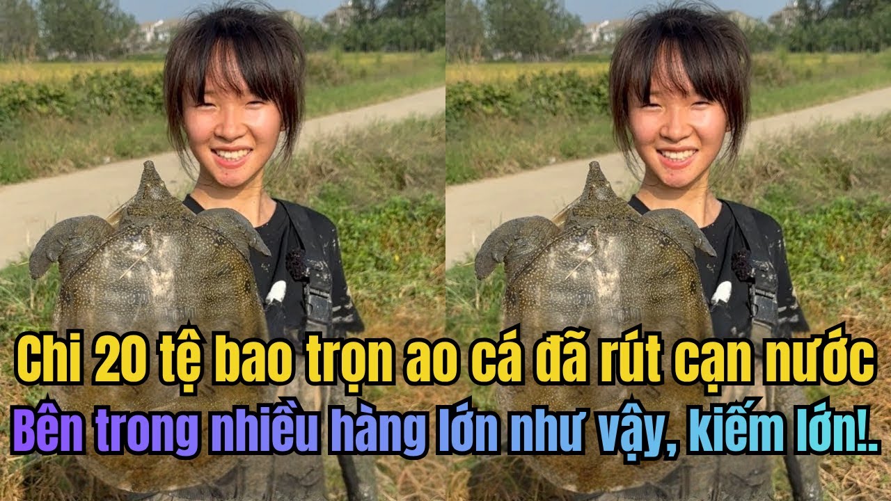 Bỏ 20 TỆ Mót Ao Cá Cạn, Và Cái Kết Bội Thu Không Tưởng!