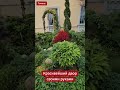 😍 Штраф или премия за красоту? 🌳 Красивейший двор в #Гомель, созданный жителями!