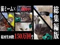映画『猫ミーム戦闘中』総集編版【猫ミームアニメ】